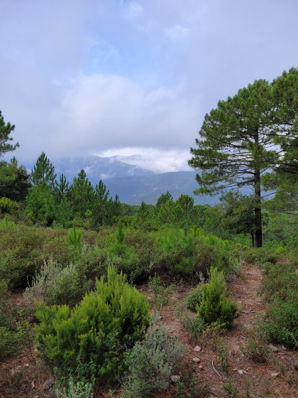 Point de vue