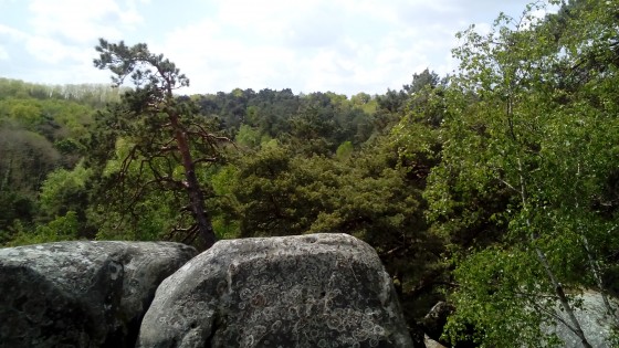 Point de vue