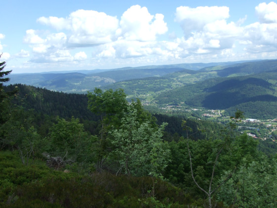 Point de vue