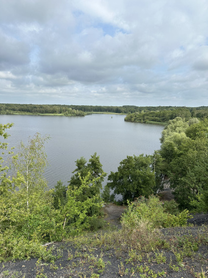 Point de vue