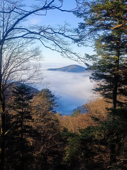 Point de vue