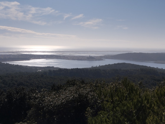 Point de vue