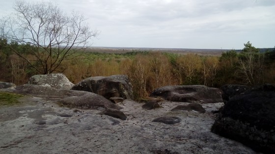Point de vue