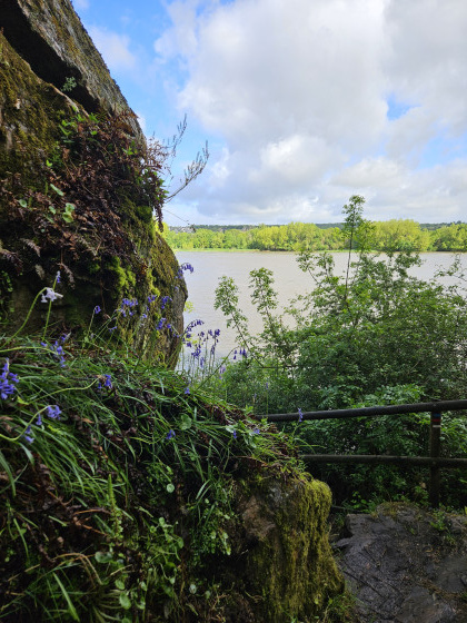 point de vue