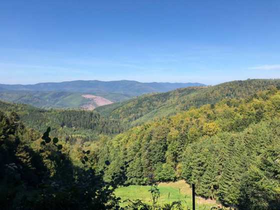 Point de Vue