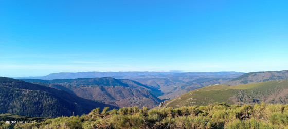 Point de vue