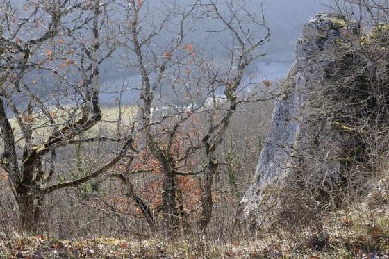point de vue