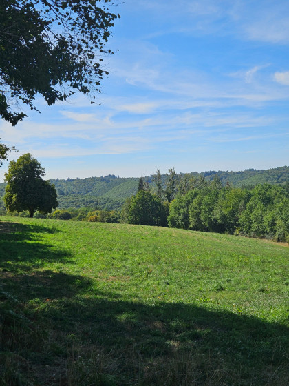 point de vue
