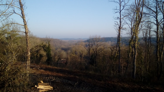 Point de vue