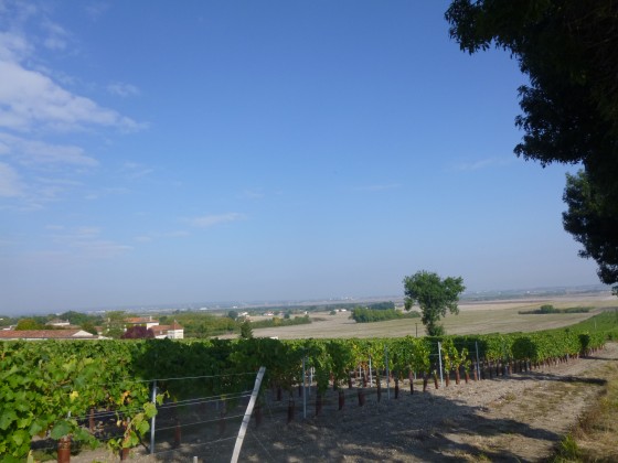 Point du vue sur le logis des Gu&eacute;rins