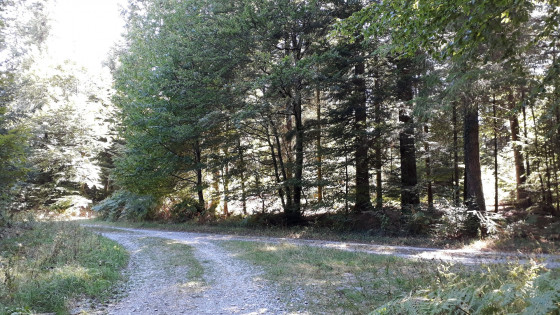 Point N°2
