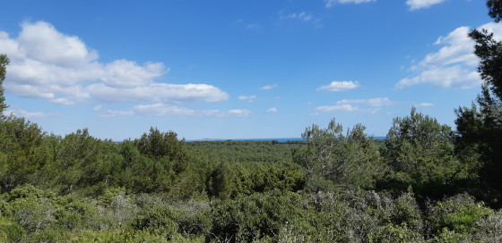 Point N°2