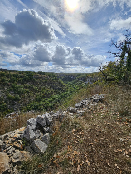 point vue