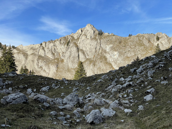 Pointe de Chavannais