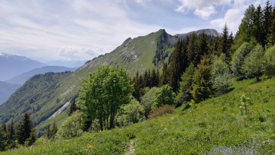 Pointe de la Foug&egrave;re, l'ar&ecirc;te vue du col de la Foug&egrave;re