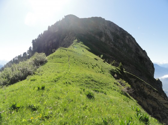 Pointe de la S&egrave;llive