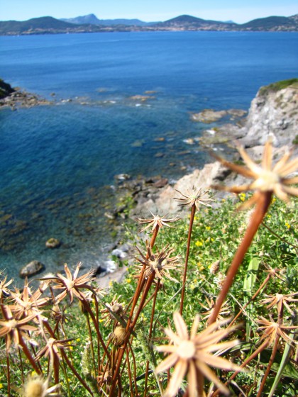 Pointe des Chevaliers