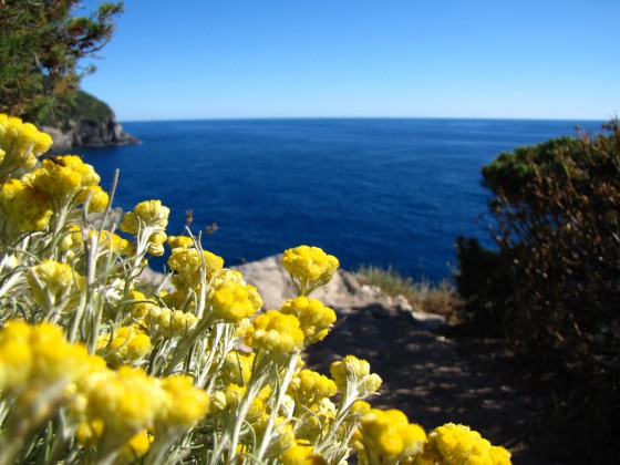 Pointe des Chevaliers