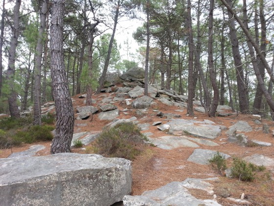 pointe rocheuse