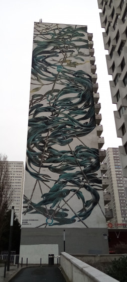 Poissons