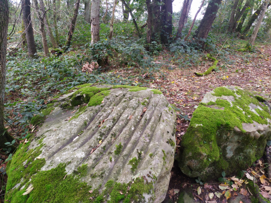 A faire Les Polissoirs de FaÿlesNemours depuis la gare de Bagneaux