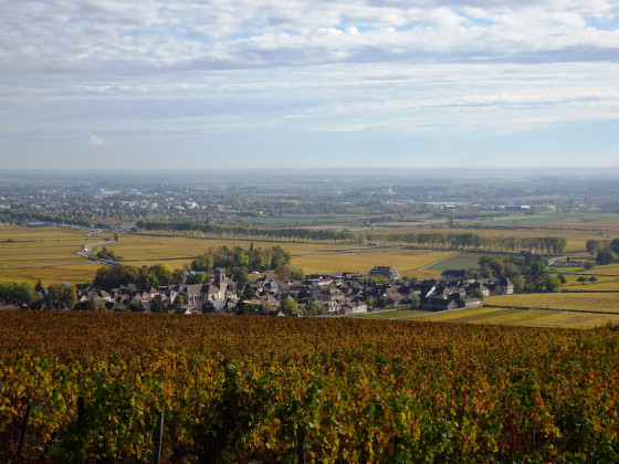 Pommard en automne