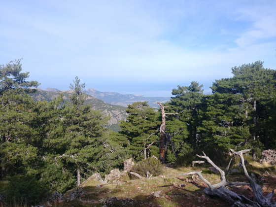 Point de vue sur le Golge de Calvi
