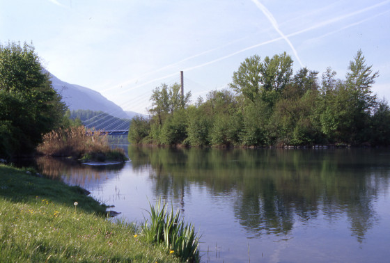 Pont à Haubans
