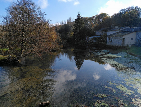 Pont au-dessus du Clain