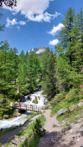 pont au dessus du ruisseau de la Vall&eacute;e &eacute;troite