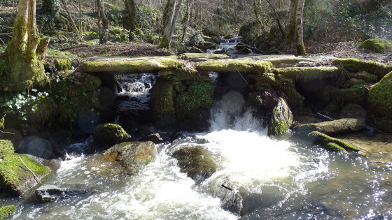 Pont Celtique au-dessus du ruisseau