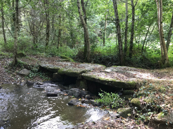 Pont Celtique