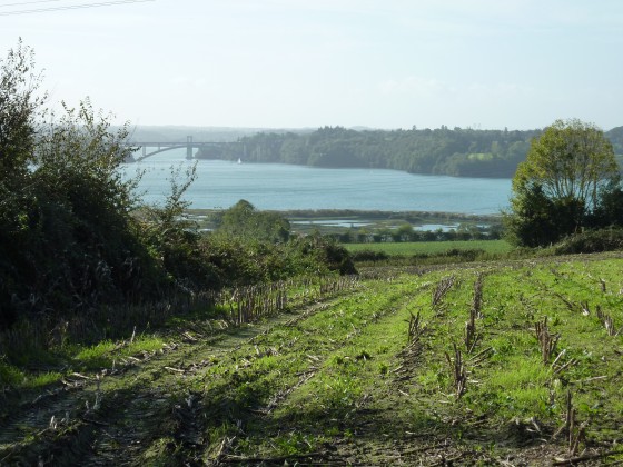 Pont Chateaubriand