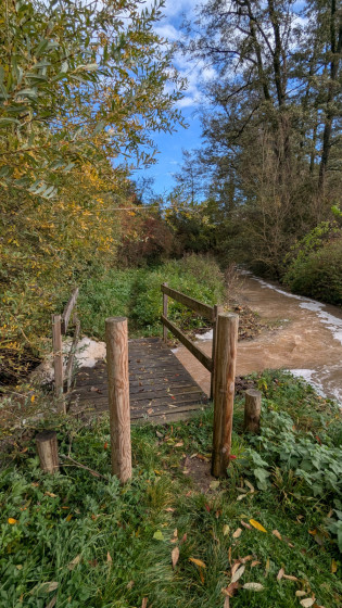 Pont chemin des renards