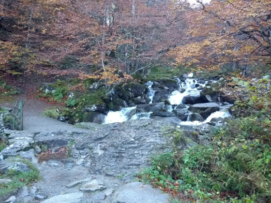 Pont d\'Artigous