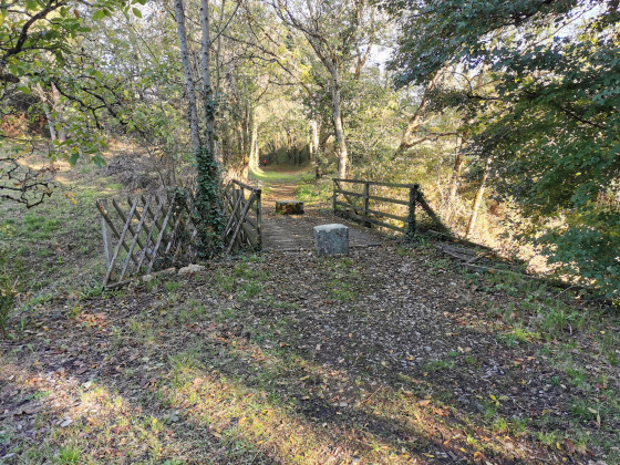 Pont de bois
