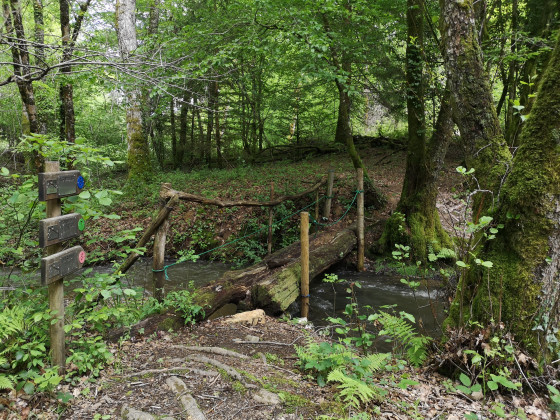 Pont de bois