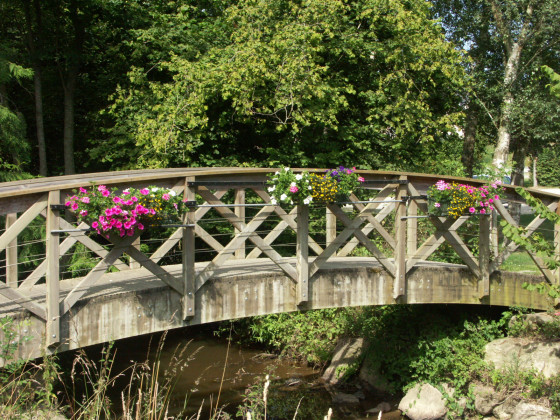 Pont de bois