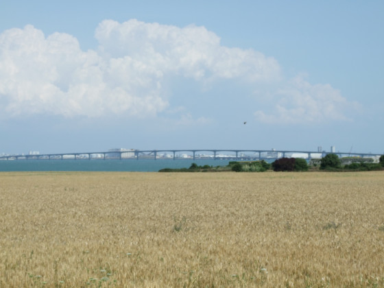 Pont de l'&Icirc;le de R&eacute;