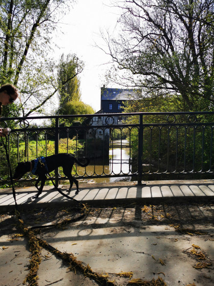Pont de l'île du Moulin