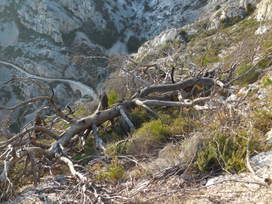 Pont de la piste d\'accès au Baou par le Sud