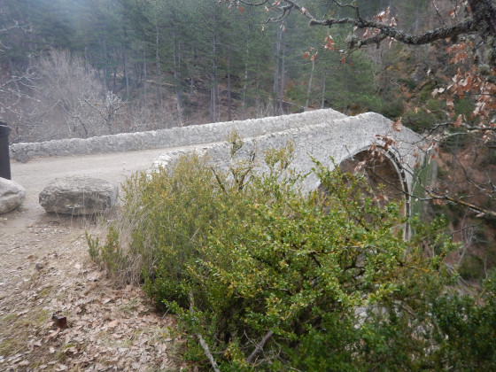 Pont de la Reine Jeanne