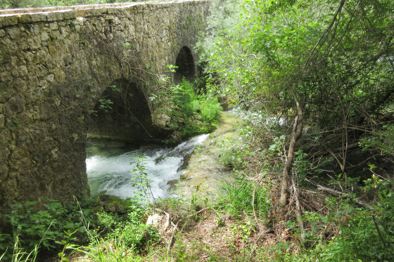 Pont de Rey