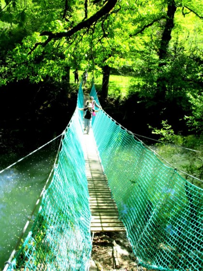 Pont de singe