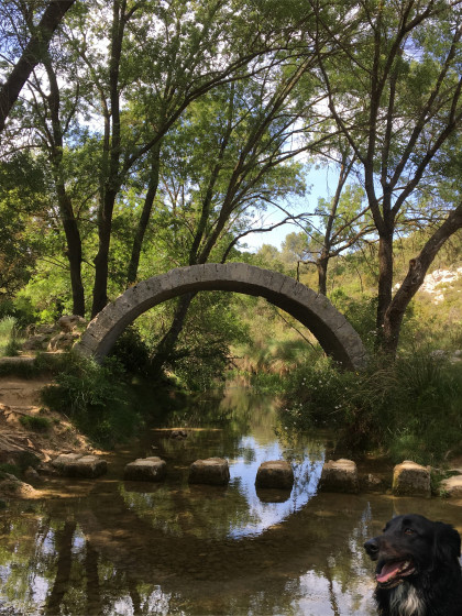 Pont de Tourilles
