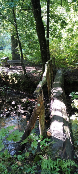 Pont de troncs