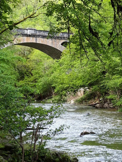 pont de V&eacute;zis