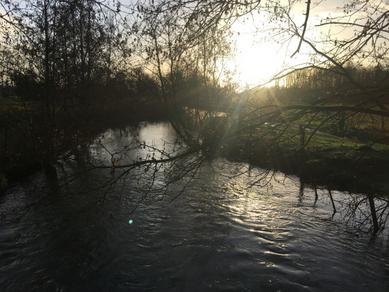 Pont des bœufs