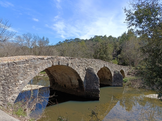 pont des cammaous