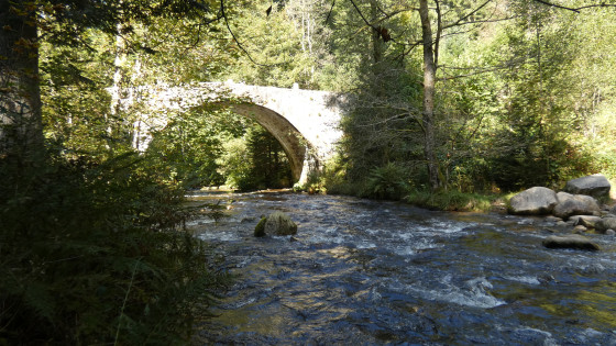 Pont des Fées sur la Vologne